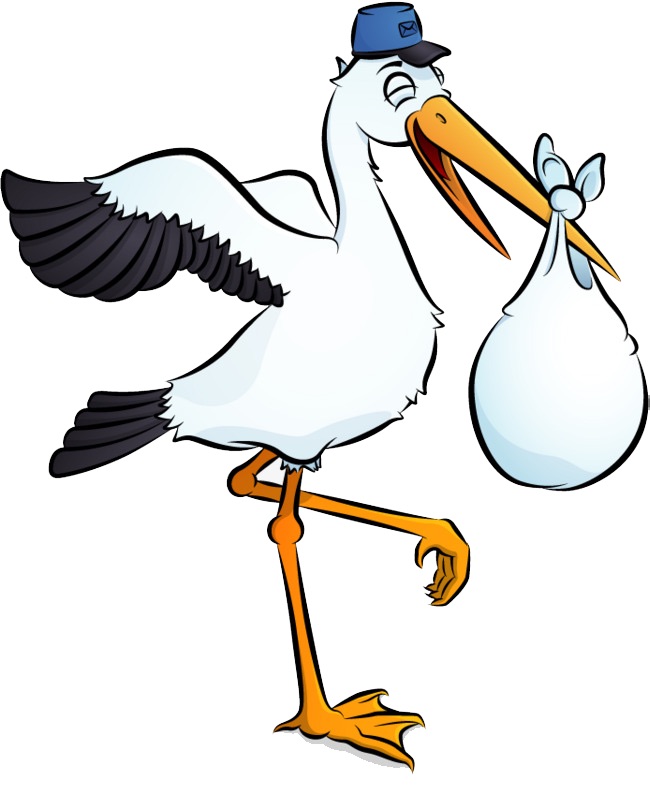 cigogne